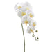 40" Silk Phalaenopsis Orchid Flower Spray -Cream/Yellow (pack of 12) - FSO110-CR/YE