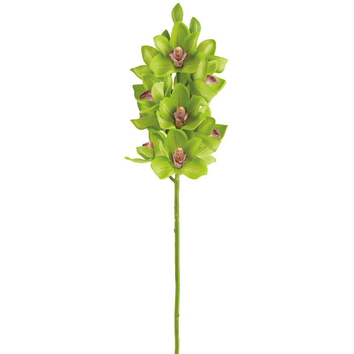 26.5" Cymbidium Orchid Silk Flower Stem -Green (pack of 6) - FSO112-GR