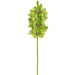 26.5" Cymbidium Orchid Silk Flower Stem -Green (pack of 6) - FSO112-GR