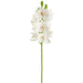 26.5" Cymbidium Orchid Silk Flower Stem -White (pack of 6) - FSO112-WH