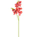 37" Silk Phalaenopsis Orchid Flower Stem -Coral (pack of 12) - FSO120-CO