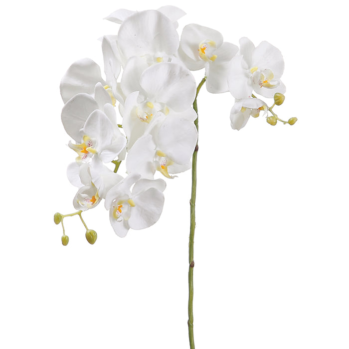 34" Silk Phalaenopsis Orchid Flower Spray -Cream (pack of 12) - FSO123-CR