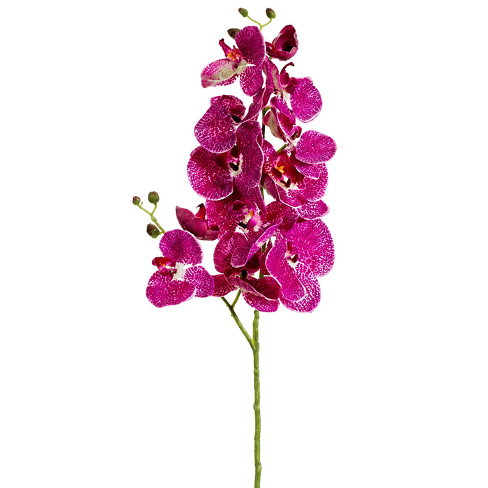 34" Silk Phalaenopsis Orchid Flower Spray -Orchid/Cream (Pack of 12) - FSO124-OC/CR