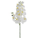 34" Silk Phalaenopsis Orchid Flower Spray -White (pack of 12) - FSO124-WH