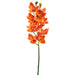 31" Cymbidium Orchid Silk Flower Stem -Flame (pack of 12) - FSO131-FL