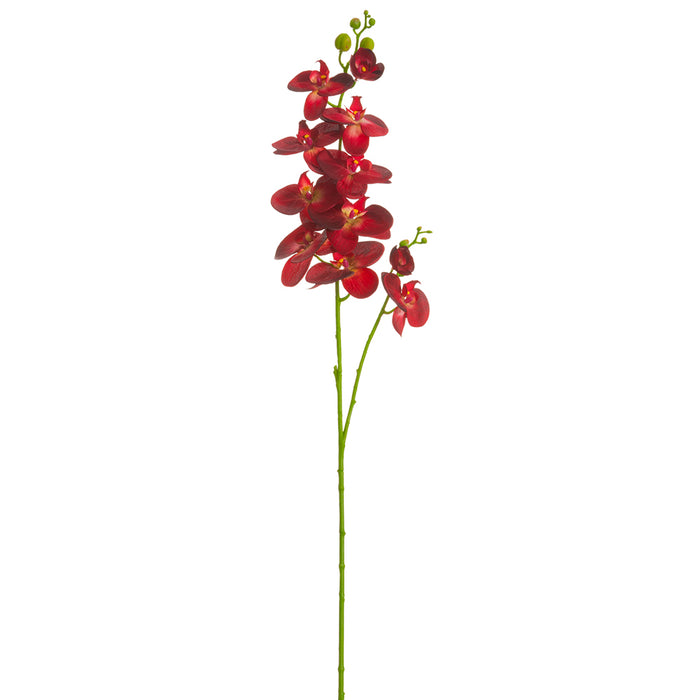 48" Silk Phalaenopsis Orchid Flower Stem -Burgundy/Red (pack of 12) - FSO133-BU/RE