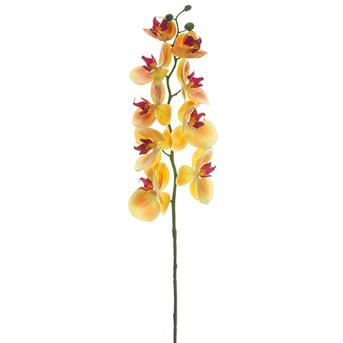 30" Phalaenopsis Orchid Silk Flower Stem -Apricot (pack of 12) - FSO173-AP