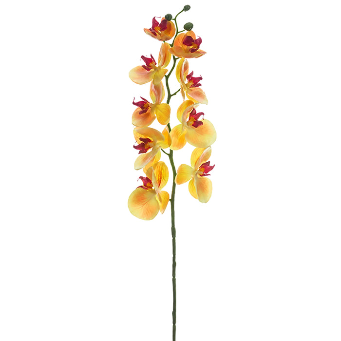 30" Real Touch Phalaenopsis Orchid Silk Flower Stem -Apricot (Pack of 12) - FSO173-AP
