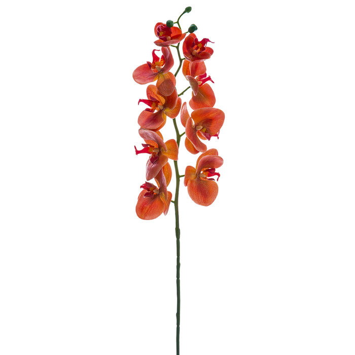 30" Real Touch Phalaenopsis Orchid Silk Flower Stem -Coral (Pack of 12) - FSO173-CO