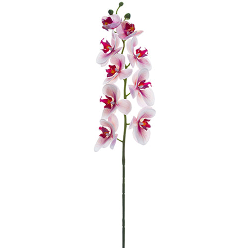 30" Phalaenopsis Orchid Silk Flower Stem -Pink/Rubrum (pack of 12) - FSO173-PK/RB