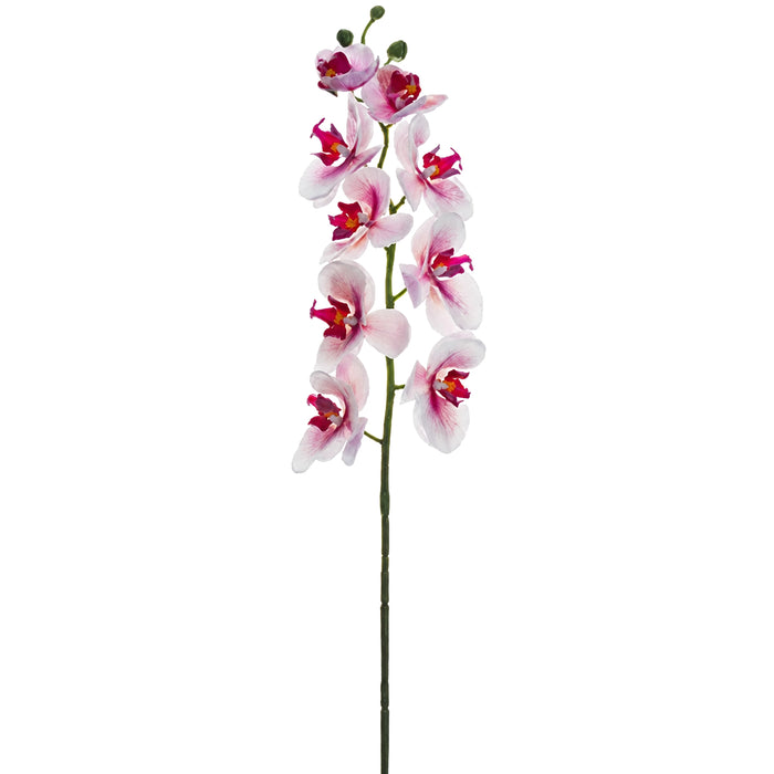 30" Real Touch Phalaenopsis Orchid Silk Flower Stem -Pink/Rubrum (Pack of 12) - FSO173-PK/RB