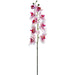 30" Phalaenopsis Orchid Silk Flower Stem -Pink/Rubrum (pack of 12) - FSO173-PK/RB