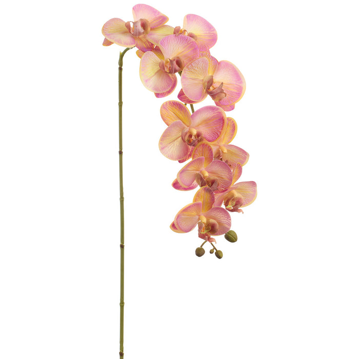 38" Phalaenopsis Orchid Silk Flower Stem -Yellow/Fuchsia (Pack of 12) - FSO195-YE/FU