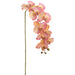 38" Phalaenopsis Orchid Silk Flower Stem -Yellow/Fuchsia (Pack of 12) - FSO195-YE/FU