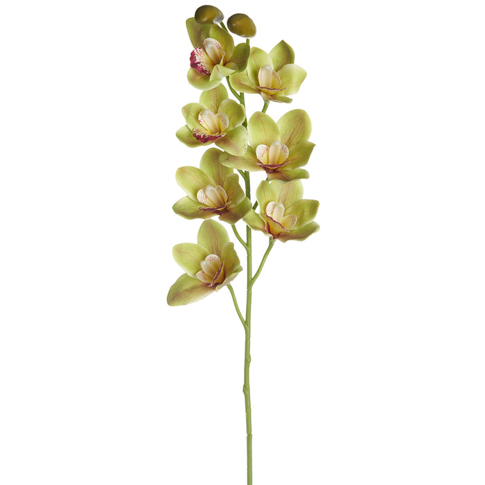 36" Silk Cymbidium Orchid Flower Stem -Green (pack of 12) - FSO202-GR