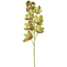 36" Silk Cymbidium Orchid Flower Stem -Green (pack of 12) - FSO202-GR