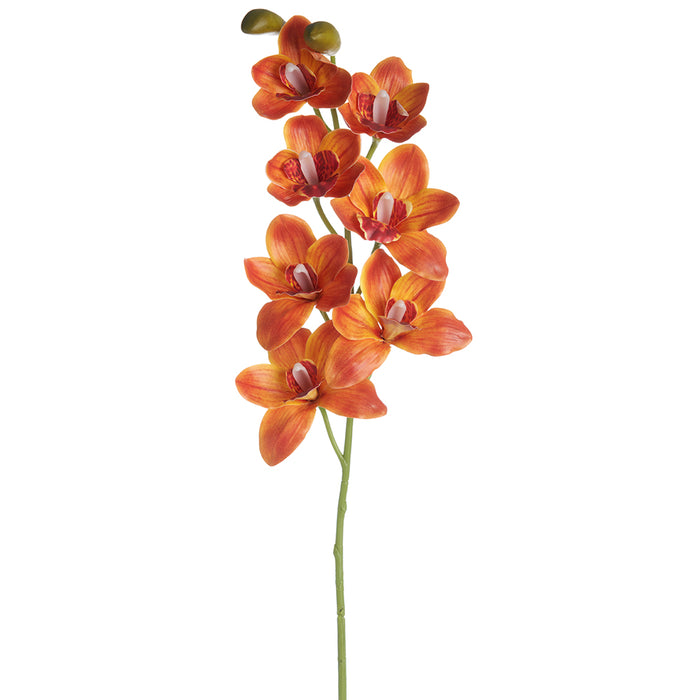 36" Silk Cymbidium Orchid Flower Stem -Orange (pack of 12) - FSO202-OR