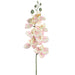 25" Silk Phalaenopsis Orchid Flower Stem -Cream/Pink (pack of 12) - FSO203-CR/PK