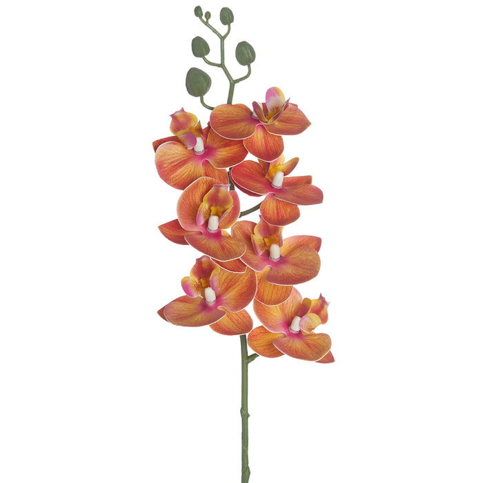 25" Silk Phalaenopsis Orchid Flower Stem -Orange (pack of 12) - FSO203-OR