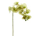 30" Phalaenopsis Orchid Silk Flower Stem -Green (Pack of 12) - FSO281-GR
