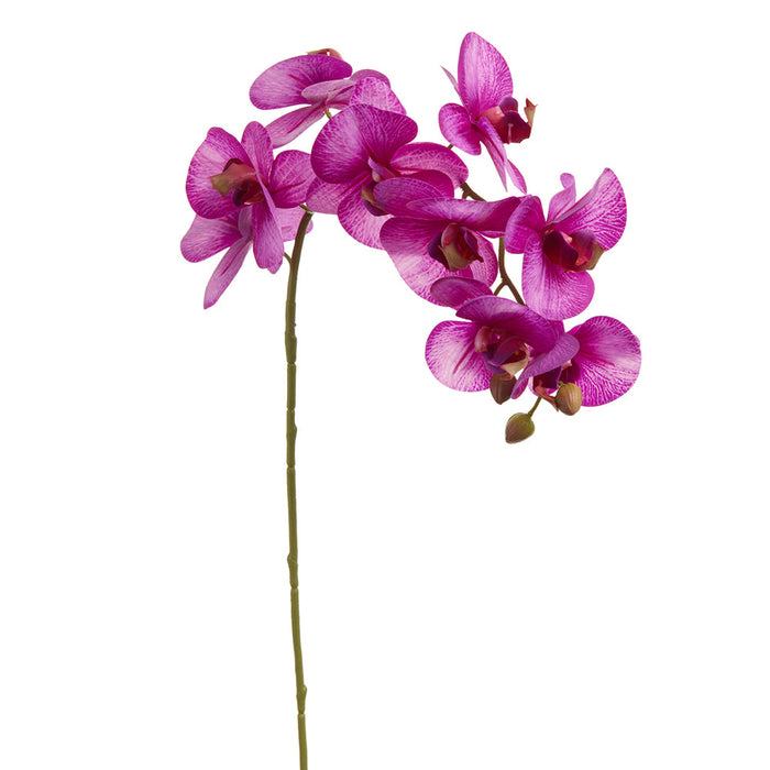 30" Phalaenopsis Orchid Silk Flower Stem -Violet (Pack of 12) - FSO281-VI