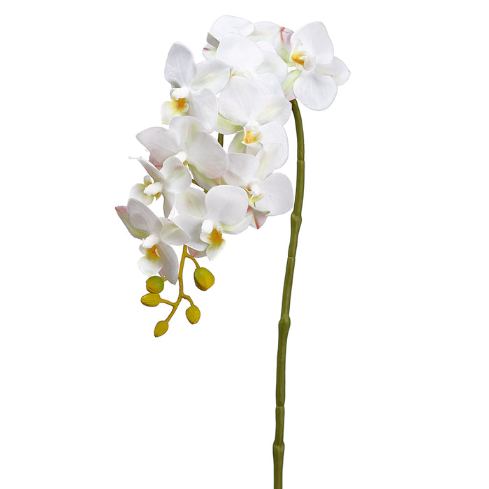 22" Small Silk Phalaenopsis Orchid Flower Stem -White (pack of 12) - FSO304-WH