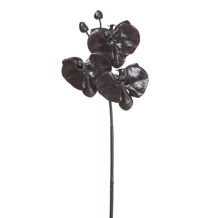 31" Artificial Phalaenopsis Orchid Flower Stem -Black (Pack of 12) - FSO306-BK