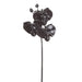 31" Artificial Phalaenopsis Orchid Flower Stem -Black (Pack of 12) - FSO306-BK