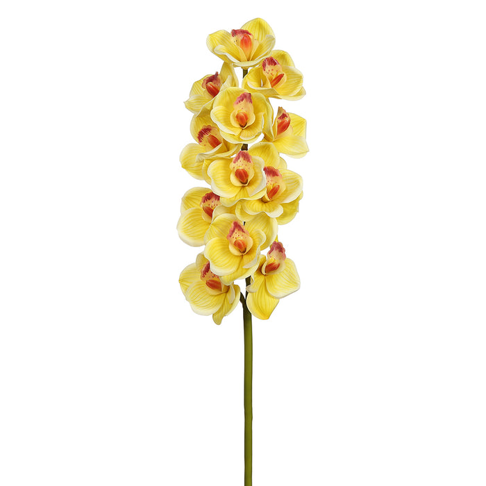 30" Silk Cymbidium Orchid Flower Stem -Yellow (pack of 12) - FSO308-YE