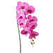 33" Phalaenopsis Orchid Silk Flower Stem -Orchid (pack of 12) - FSO365-OC