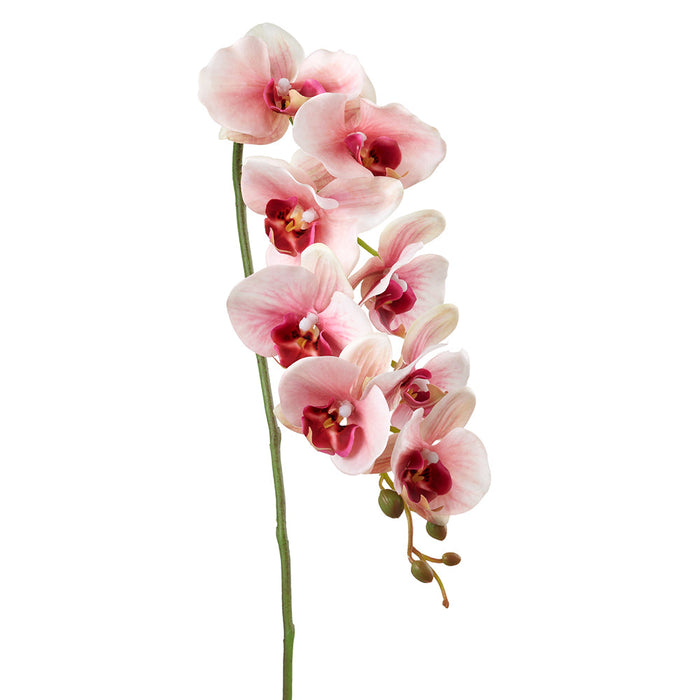 33" Phalaenopsis Orchid Silk Flower Stem -Peach/Beauty (pack of 12) - FSO365-PE/BT
