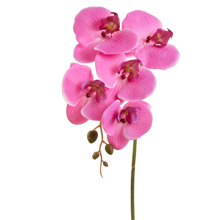 20.5" Phalaenopsis Orchid Silk Flower Stem -Orchid (pack of 12) - FSO366-OC