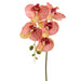 20.5" Phalaenopsis Orchid Silk Flower Stem -Orange (pack of 12) - FSO366-OR
