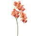 29.5" Phalaenopsis Orchid Silk Flower Stem -Orange (pack of 12) - FSO367-OR