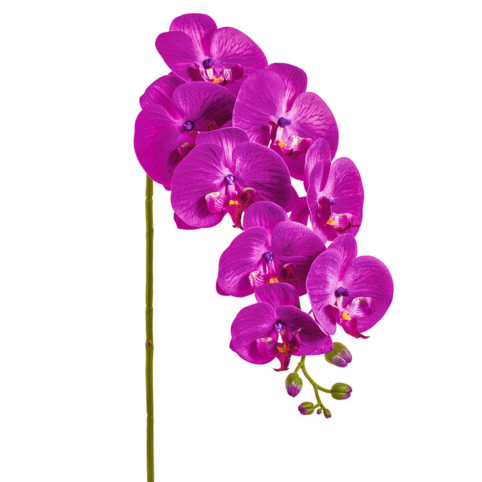 37" Phalaenopsis Orchid Silk Flower Stem -Purple (Pack of 12) - FSO370-PU