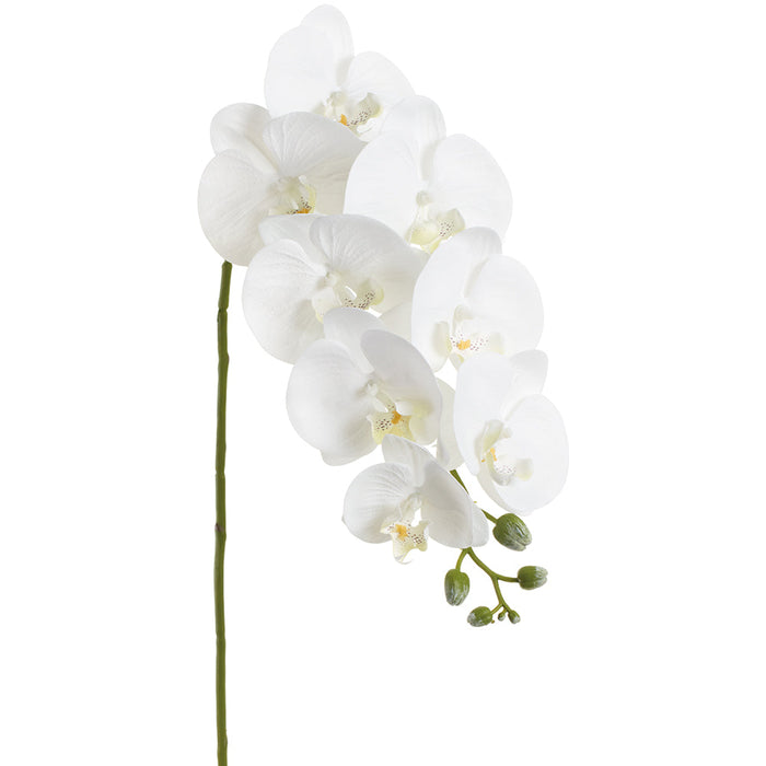 37" Phalaenopsis Orchid Silk Flower Stem -White (Pack of 12) - FSO370-WH