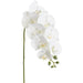 37" Phalaenopsis Orchid Silk Flower Stem -White (Pack of 12) - FSO370-WH