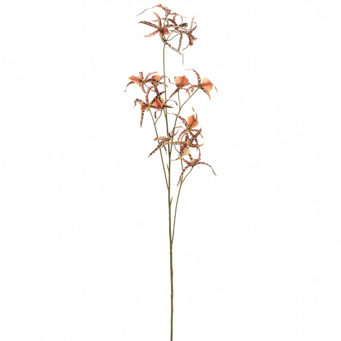 42.5" Spider Orchid Silk Flower Stem -Brown (Pack of 12) - FSO461-BR
