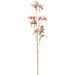 42.5" Spider Orchid Silk Flower Stem -Brown (Pack of 12) - FSO461-BR