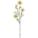 37" Orlaya Grandiflora White Lace Silk Flower Stem -Yellow (Pack of 12) - FSO487-YE