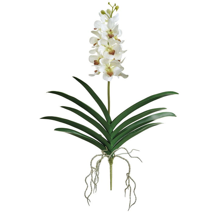 25" Real Touch Hand-Wrapped Vanda Orchid Silk Flower Stem -Cream (Pack of 12) - FSO595-CR