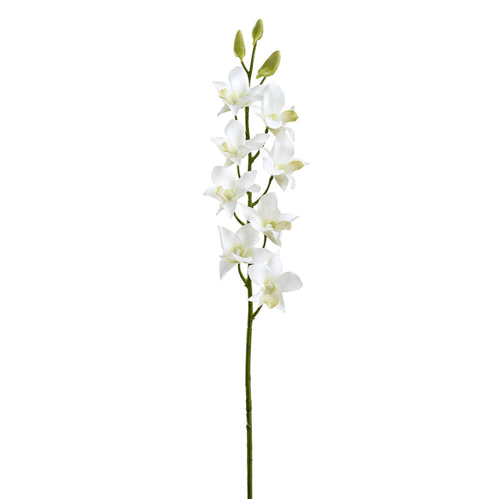 28" Real Touch Dendrobium Orchid Silk Flower Stem -Cream (pack of 12) - FSO596-CR