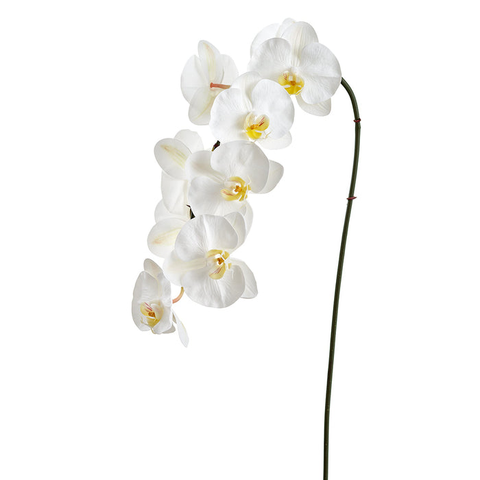 37" Phalaenopsis Orchid Faux Flower Stem -White (Pack of 12) - FSO597-WH