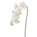 37" Phalaenopsis Orchid Faux Flower Stem -White (Pack of 12) - FSO597-WH