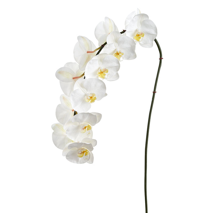 40" Phalaenopsis Orchid Faux Flower Stem -White (Pack of 12) - FSO598-WH