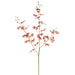 38" Silk Oncidium Orchid Flower Stem -Red (pack of 12) - FSO601-RE