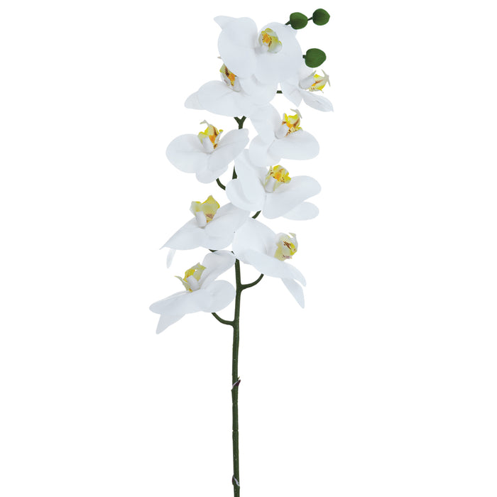 36" Phalaenopsis Orchid Silk Flower Stem -White (pack of 12) - FSO639-WH