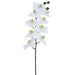 36" Phalaenopsis Orchid Silk Flower Stem -White (pack of 12) - FSO639-WH