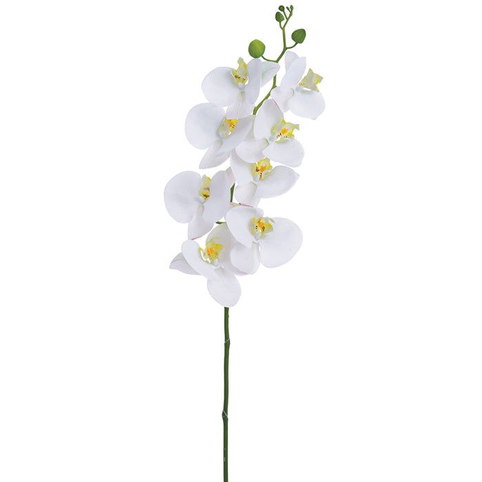 41" Phalaenopsis Orchid Silk Flower Stem -White (Pack of 12) - FSO709-WH
