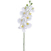 41" Phalaenopsis Orchid Silk Flower Stem -White (Pack of 12) - FSO709-WH
